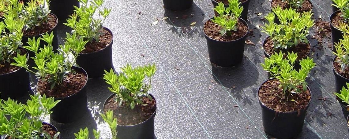 Агроткань для садовых хозяйств